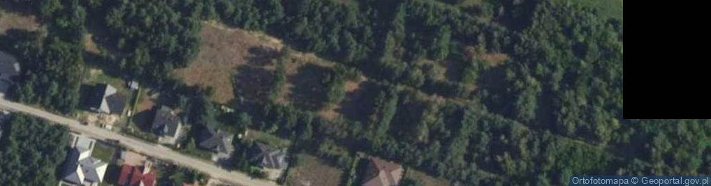 Zdjęcie satelitarne Grzybowa ul.