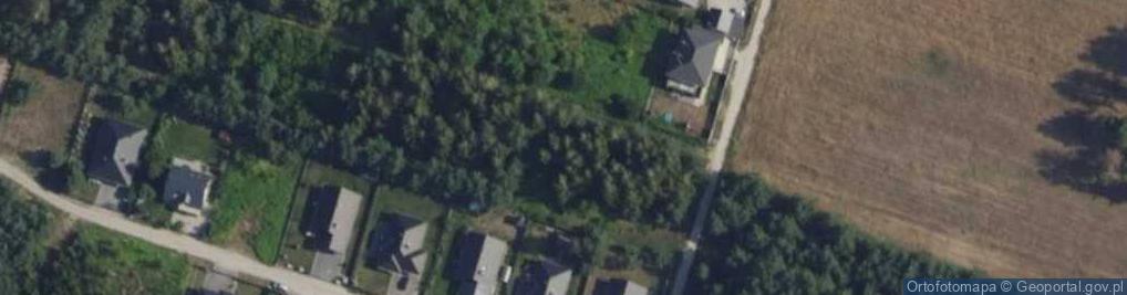 Zdjęcie satelitarne Grzybowa ul.