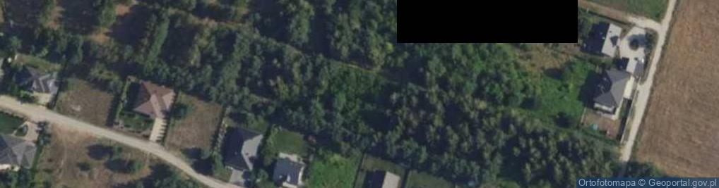 Zdjęcie satelitarne Grzybowa ul.