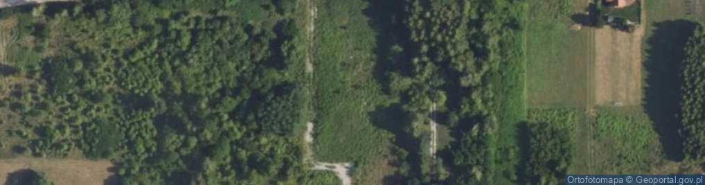 Zdjęcie satelitarne Grodziska ul.