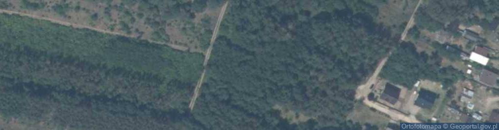 Zdjęcie satelitarne Grzybowa ul.