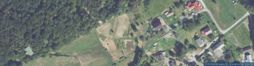 Zdjęcie satelitarne Grzybowa ul.