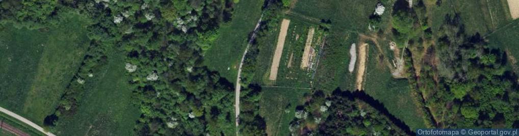 Zdjęcie satelitarne Granicznik ul.