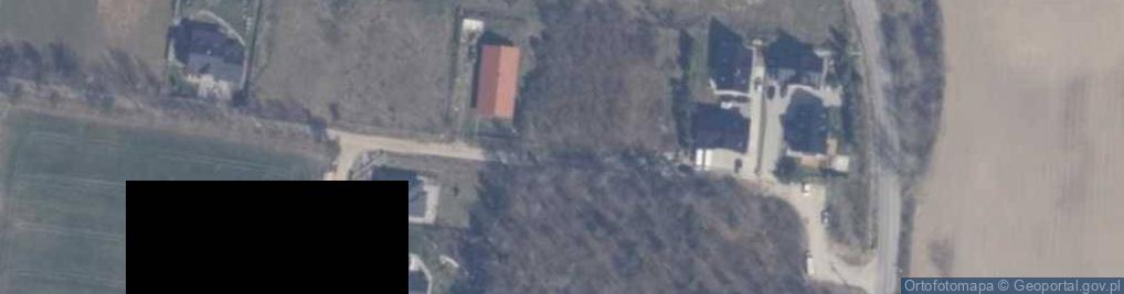 Zdjęcie satelitarne Grzybowa ul.