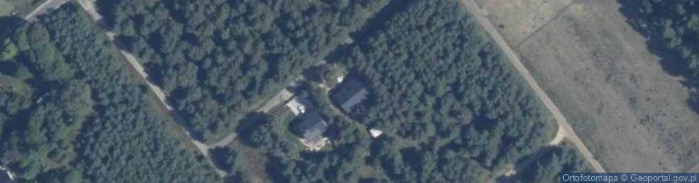 Zdjęcie satelitarne Grzybowa ul.