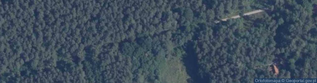 Zdjęcie satelitarne Grunwaldzka ul.