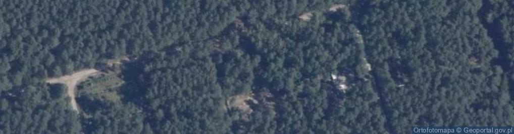 Zdjęcie satelitarne Grunwaldzka ul.