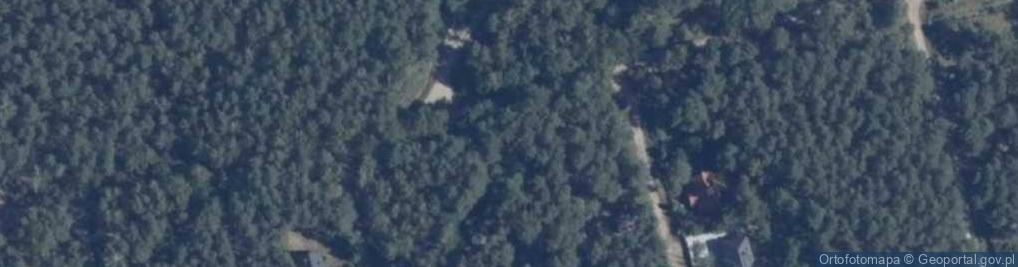 Zdjęcie satelitarne Grunwaldzka ul.