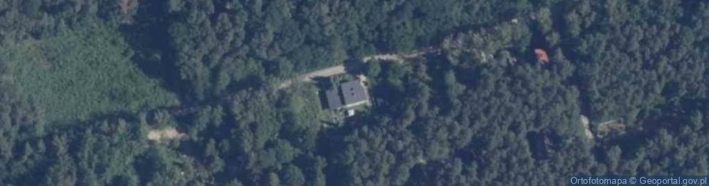 Zdjęcie satelitarne Grunwaldzka ul.