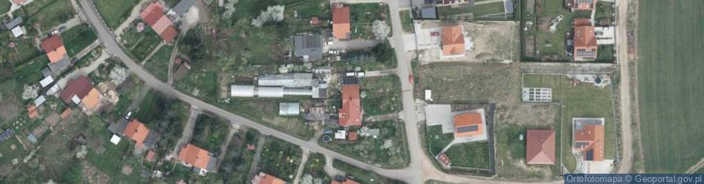 Zdjęcie satelitarne Grzybowa ul.