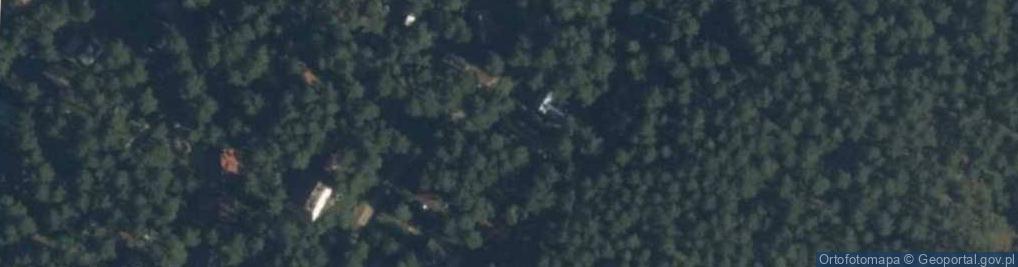 Zdjęcie satelitarne Grzybowa ul.