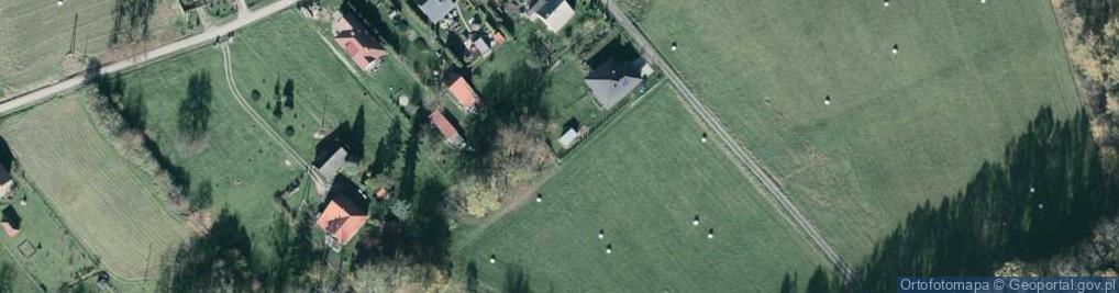 Zdjęcie satelitarne Grzybowa ul.