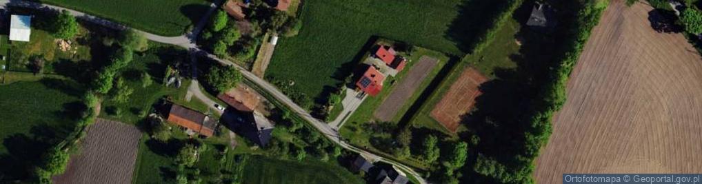 Zdjęcie satelitarne Grzybowa ul.