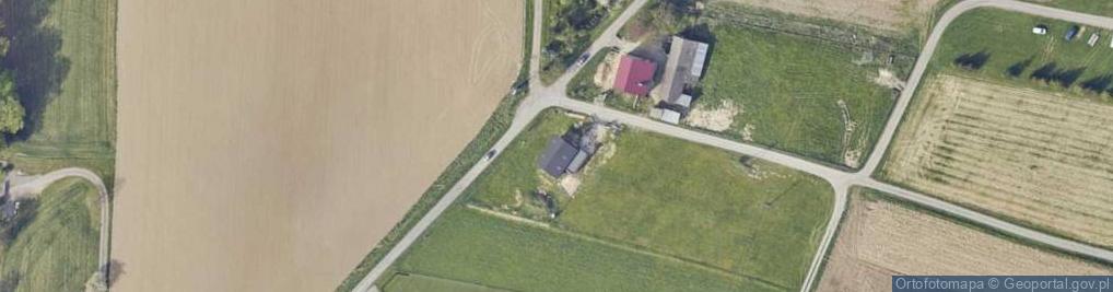 Zdjęcie satelitarne Grzybowa ul.