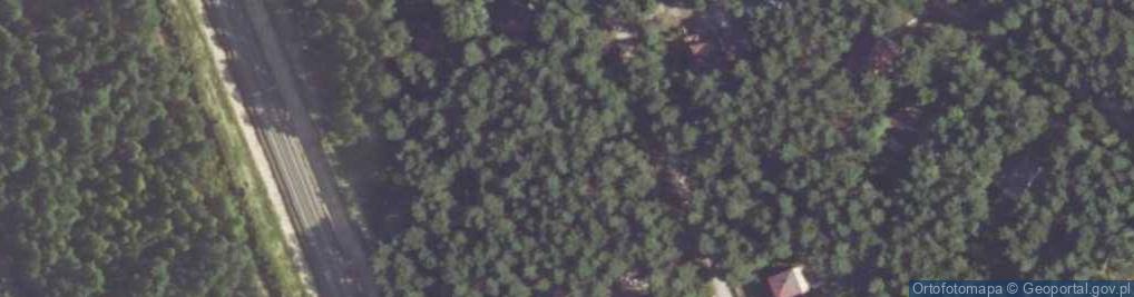 Zdjęcie satelitarne Grunwaldzka ul.