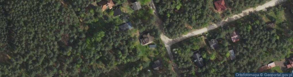 Zdjęcie satelitarne Grzybowa ul.
