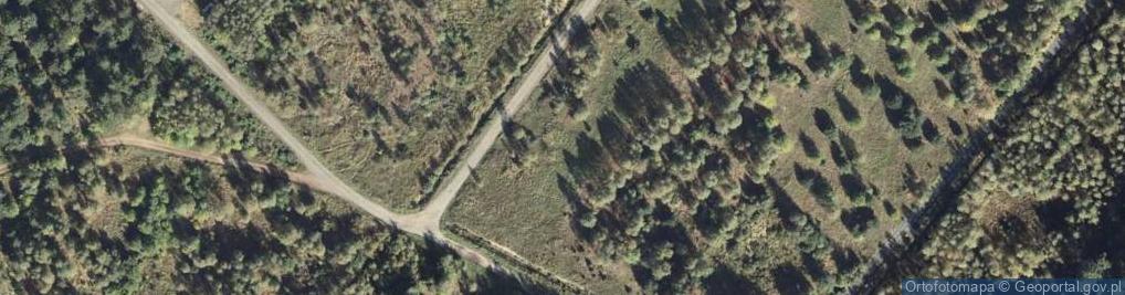Zdjęcie satelitarne Grabowa ul.
