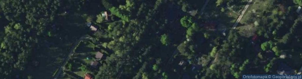 Zdjęcie satelitarne Grzybowa ul.