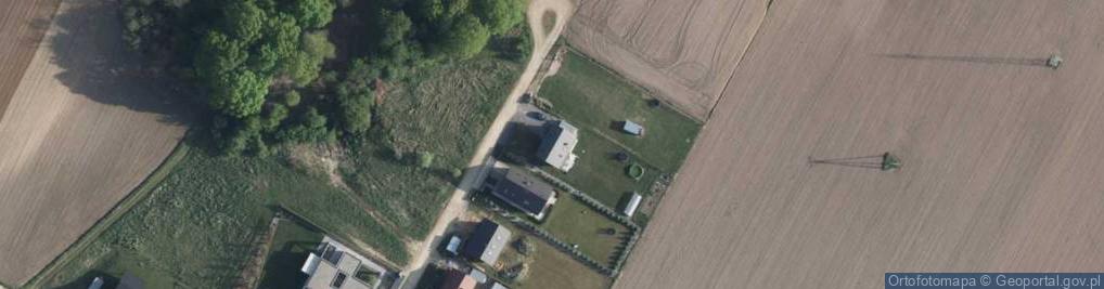 Zdjęcie satelitarne Grzybowa ul.