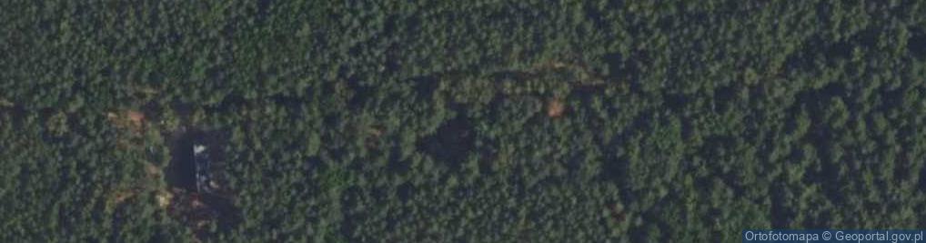 Zdjęcie satelitarne Guźca ul.