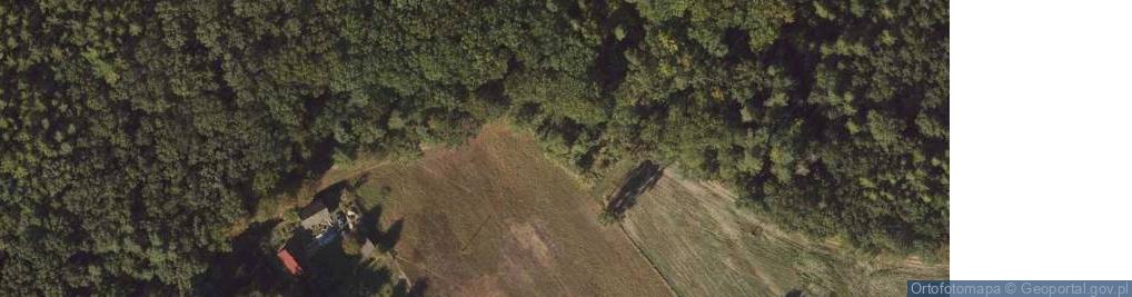 Zdjęcie satelitarne Gulewo ul.