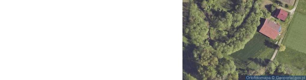 Zdjęcie satelitarne Gumniska ul.