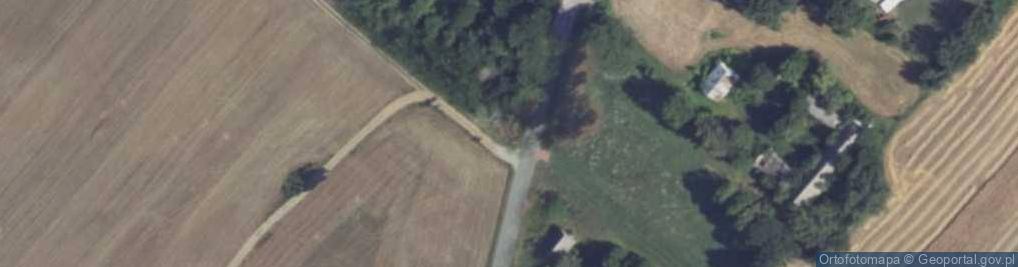 Zdjęcie satelitarne Guty Duże ul.