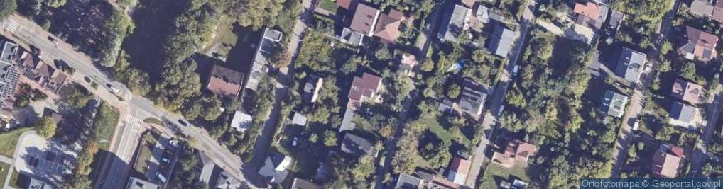 Zdjęcie satelitarne Guzikowa ul.