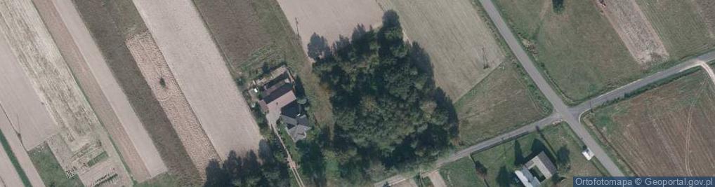 Zdjęcie satelitarne Gwizdów ul.