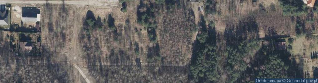 Zdjęcie satelitarne Gwiaździsta ul.