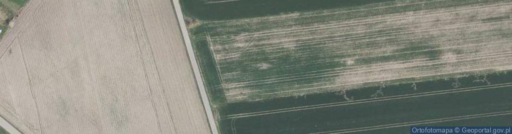 Zdjęcie satelitarne Halasy ul.