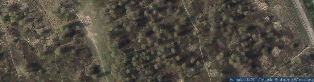 Zdjęcie satelitarne Handelsmana Marcelego ul.