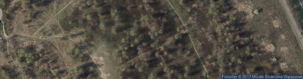 Zdjęcie satelitarne Handelsmana Marcelego ul.
