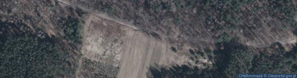 Zdjęcie satelitarne Helenów ul.