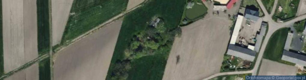 Zdjęcie satelitarne Helenów ul.