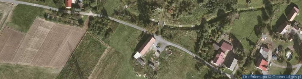 Zdjęcie satelitarne Henryków Lubański ul.