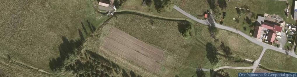 Zdjęcie satelitarne Henryków Lubański ul.
