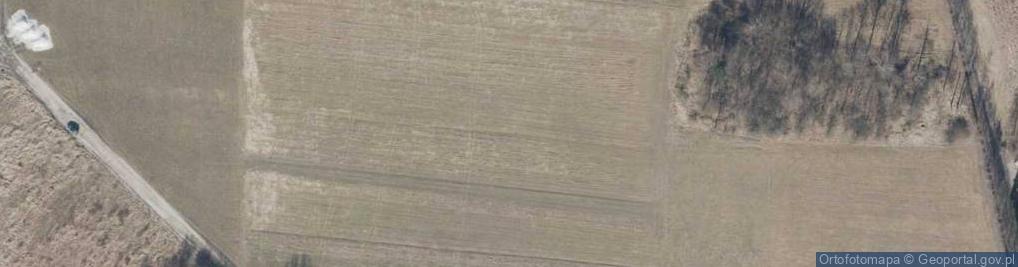 Zdjęcie satelitarne Henrykowska ul.