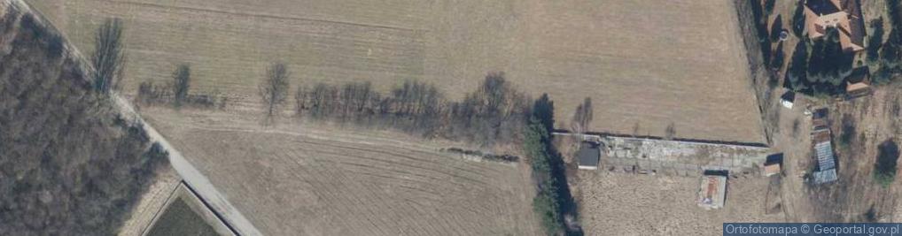 Zdjęcie satelitarne Henrykowska ul.