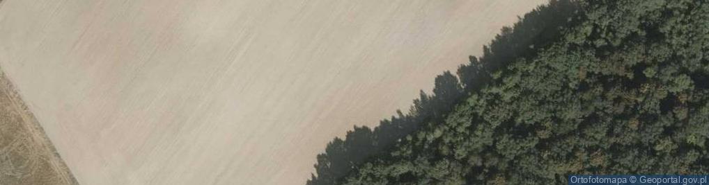 Zdjęcie satelitarne Hodorowska ul.