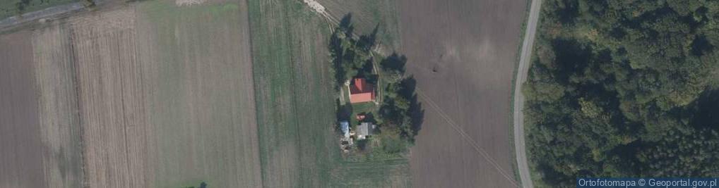 Zdjęcie satelitarne Horoszczyce ul.