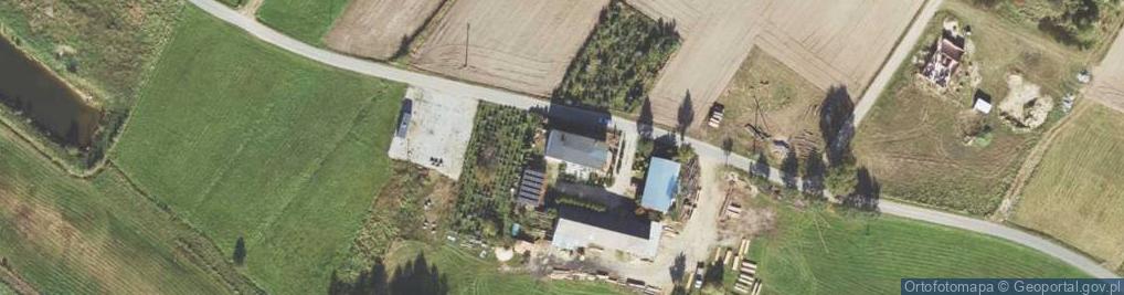Zdjęcie satelitarne Ignaców ul.