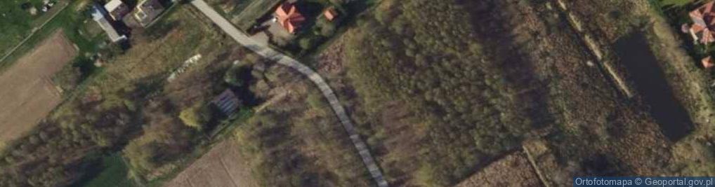 Zdjęcie satelitarne Ignacowska ul.