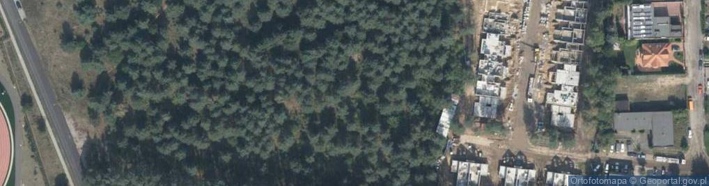 Zdjęcie satelitarne Iglasta ul.