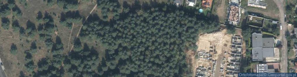 Zdjęcie satelitarne Iglasta ul.