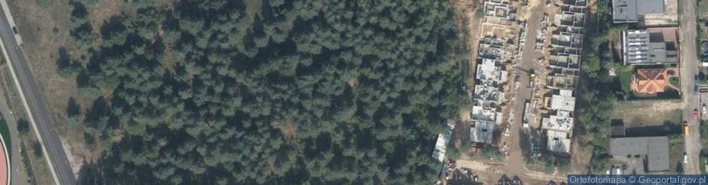 Zdjęcie satelitarne Iglasta ul.