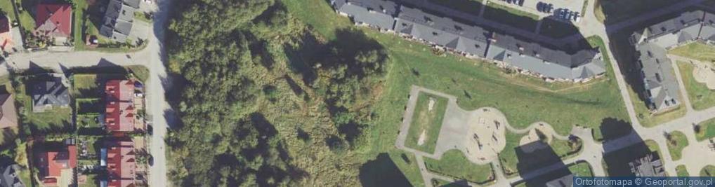 Zdjęcie satelitarne Irlandzka ul.