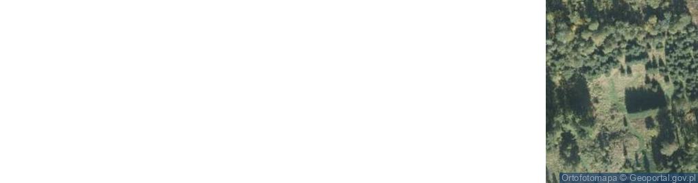 Zdjęcie satelitarne Istebna ul.