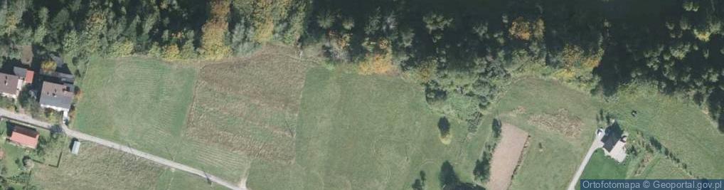 Zdjęcie satelitarne Istebna ul.