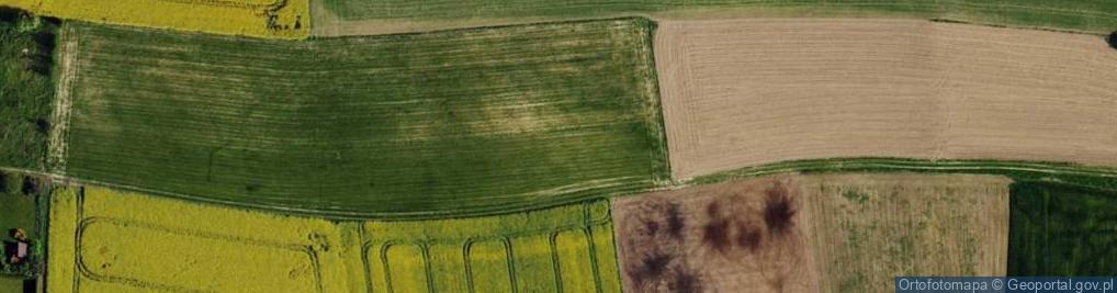 Zdjęcie satelitarne Jarzębinowa ul.